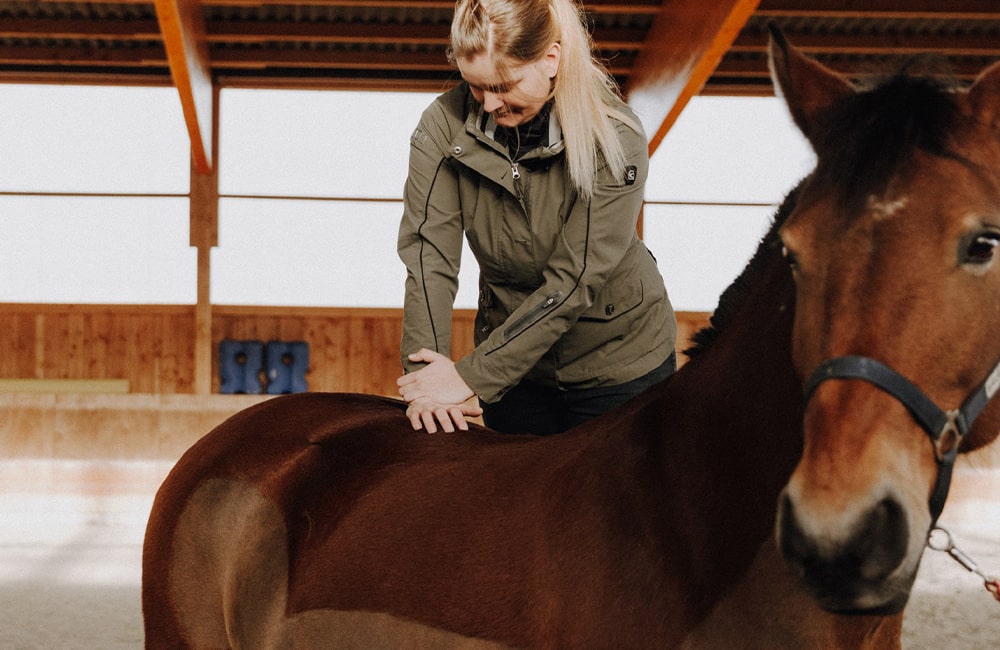 Tierarzt-Pferd-Tieraerzte-Team-Erzgebirge-Zwoenitz-Sachsen-Julia-Huebner-Pferdetierarzt-Pferdearzt-Pferdearztpraxis-Pferdereha-5-min