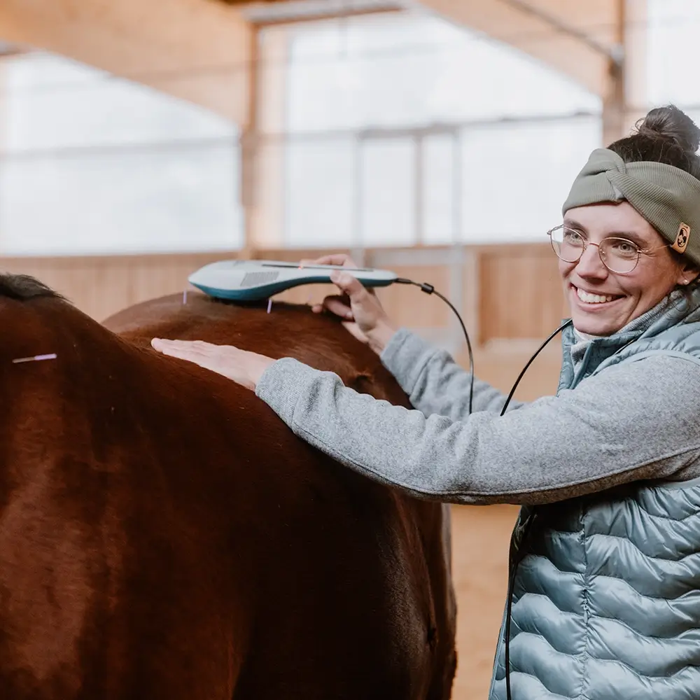 Tierarzt-Pferd-Tieraerzte-Team-Erzgebirge-Zwoenitz-Sachsen-Maria-Freiburger-Pferdetierarzt-Pferdearzt-Pferdearztpraxis-Pferdereha